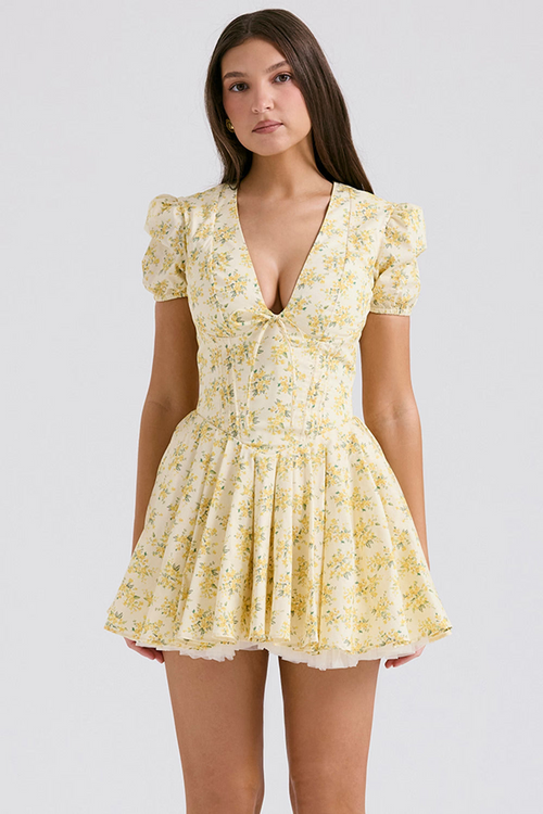 Aminta Mini Dress