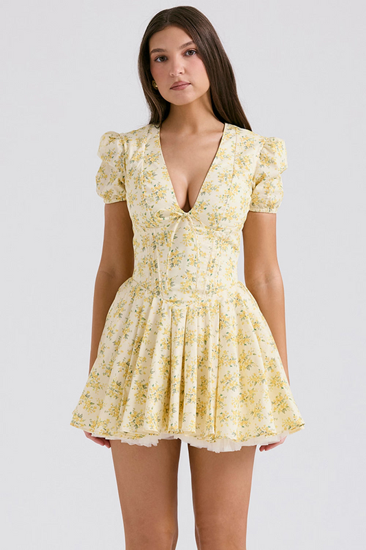 Aminta Mini Dress