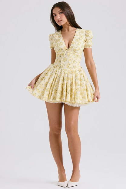 Aminta Mini Dress
