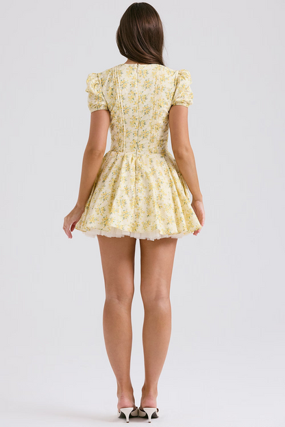 Aminta Mini Dress